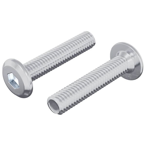 vidaXL Z&aacute;mkov&aacute; skrutka Jednofarebn&yacute; 2 pcs Strieborn&aacute; M6 x 30 mm Oceľ