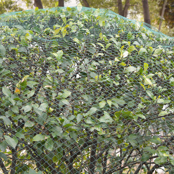 vidaXL Sieť proti vtákom z PE, 5 ks, 4x5 m