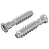 vidaXL Hlava skrutky s krytom 2 ks Strieborn&aacute; M7 x 40 mm Oceľ