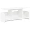vidaXL TV stol&iacute;k Biela 102 x 35 x 45 cm Kompozitn&eacute; drevo