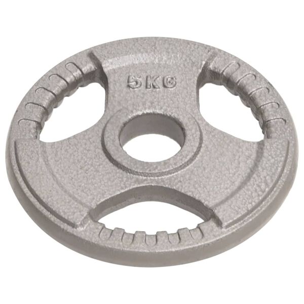 vidaXL Olympijsk&eacute; z&aacute;važia 4 ks 20 kg liatina