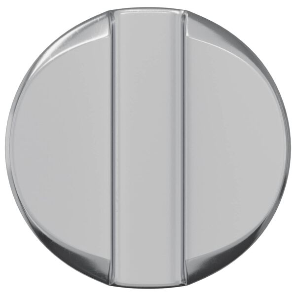 vidaXL Matica na barel 2 pcs Strieborn&aacute; M6 x 13 mm Železo