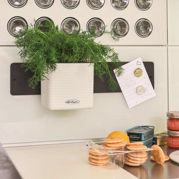 LECHUZA Kvetináče 3 ks súprava Green Wall Home Kit biele