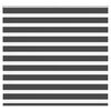 vidaXL Zebra roleta čierna 165x100 cm &scaron;&iacute;rka l&aacute;tky 160,9cm polyester