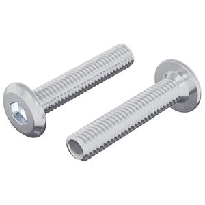 vidaXL Z&aacute;mkov&aacute; skrutka Jednofarebn&yacute; 2 pcs Strieborn&aacute; M6 x 30 mm Oceľ