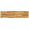 vidaXL Obdĺžnikov&yacute; st&ocirc;l 160 x 40 x 3,2 cm Obdĺžnikov&yacute;