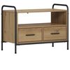 vidaXL TV skrinka 67,5 x 33 x 50 cm Dub artisan Kompozitn&eacute; drevo