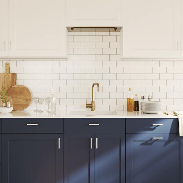 vidaXL Rukov&auml;te na skrinku 10 ks strieborn&eacute; 64 mm nehrdzavej&uacute;ca oceľ