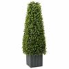 vidaXL Umelý eukalyptus Zelená 27 x 27 x 90 cm Plast