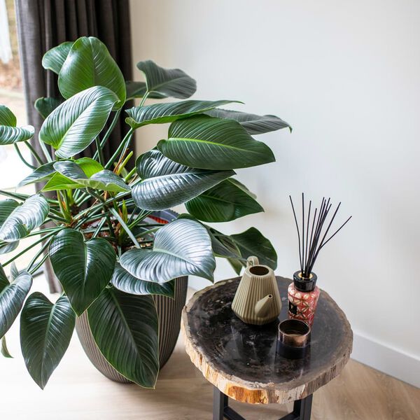 Capi Váza elegantná Groove 46x58 cm antracitová