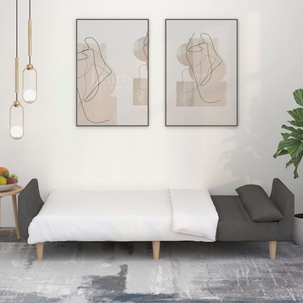 vidaXL 2-miestna rozkladacia pohovka s 2 vank&uacute;&scaron;mi, tmavosiv&aacute;, l&aacute;tka