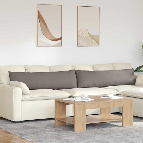 vidaXL Vank&uacute;&scaron;e na pohovku 2 pcs Sivohned&aacute; 145 x 40 cm l&aacute;tka