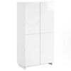 High_gloss_white