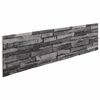 vidaXL N&aacute;stenn&eacute; panely 10 ks 100 x 25 cm Antracit EPS pena