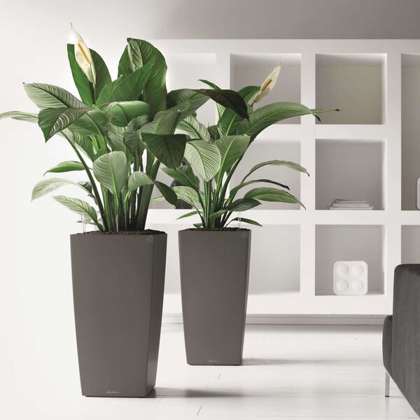 LECHUZA Kvetináč Cubico 40 ALL-IN-ONE drevené uhlie 18194