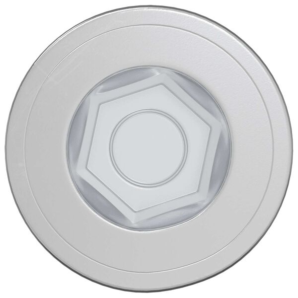 vidaXL Potvrden&eacute; skrutky 2 pcs Strieborn&aacute; &Oslash;7 x 58 mm Kov