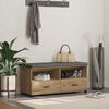 vidaXL Predsieňov&aacute; lavica s vank&uacute;&scaron;om Remeseln&yacute; dub 100 x 38 x 46 cm
