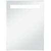 vidaXL K&uacute;peľňov&eacute; n&aacute;stenn&eacute; zrkadlo s LED osvetlen&iacute;m 60x80 cm