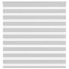 vidaXL Zebra roleta svetlosiv&aacute; 150x150cm &scaron;&iacute;rka l&aacute;tky 145,9cm polyester