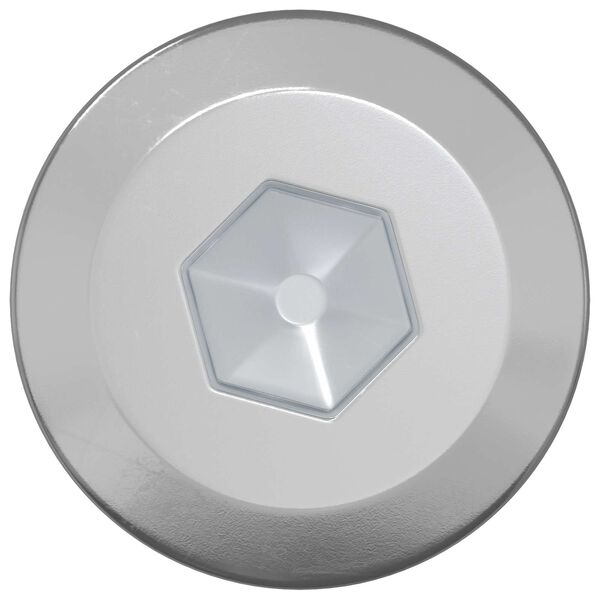 vidaXL Drevo skrutky 2 pcs Strieborn&aacute; M6 x 70 mm Oceľ