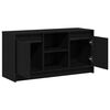 vidaXL TV jednotky Čierna 100 x 34 x 50 cm Kompozitné drevo