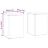 vidaXL Stojan na rastliny 2 pcs Hrdzav&yacute; 24 x 24 x 35 cm