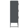vidaXL Highboard Antracit 68x39x123 cm Oceľ