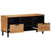 vidaXL TV skrinka Hned&aacute; 100 x 33,5 x 46 cm Mas&iacute;vne mango drevo