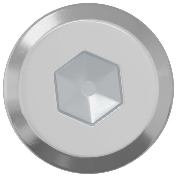 vidaXL Z&aacute;mkov&aacute; skrutka Jednofarebn&yacute; 2 pcs Strieborn&aacute; M6 x 30 mm Oceľ