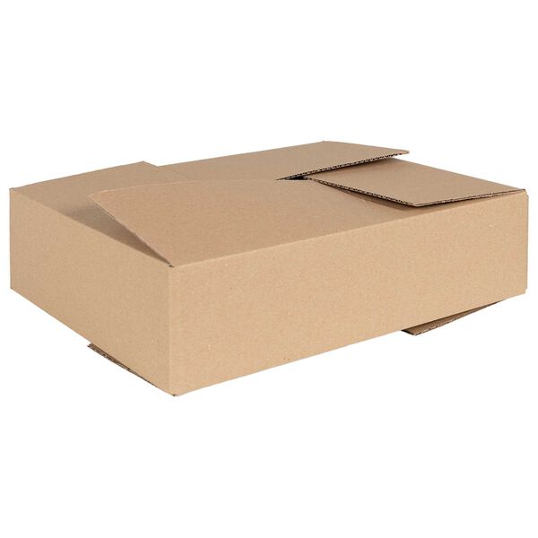 vidaXL Skladac&iacute; box s &uacute;ložiskom 50 pcs Pr&iacute;rodn&aacute; 40 x 30 x 10 cm Kart&oacute;n