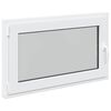 vidaXL Otočn&eacute; a sklopn&eacute; okno do suter&eacute;nu RISOR 100 x 60 cm PVC a sklo