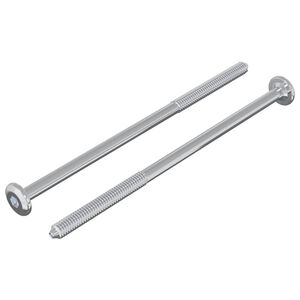 vidaXL Skrutka 2 pcs Strieborn&aacute; M6 x 120 mm Oceľ