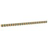 Green_and_yellow