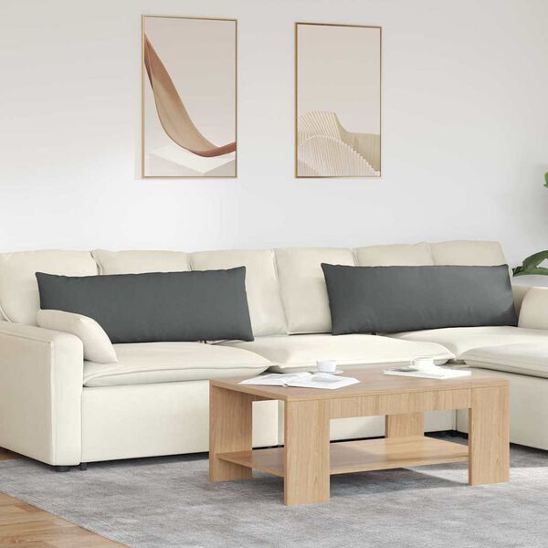vidaXL Vankúše na pohovku 2 pcs Tmavo šedá 120 x 40 cm látka