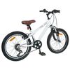 vidaXL Kids Mountain Bike 20 Palcov 6-Speed pre deti vo veku 5-8 rokov