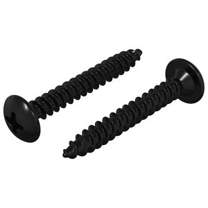 vidaXL Z&aacute;vitov&yacute; klinc 2 ks Čierna M4 x 28 mm Oceľ