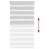 vidaXL Zebra roleta svetlosiv&aacute; 70x100 cm &scaron;&iacute;rka l&aacute;tky 65,9 cm polyester
