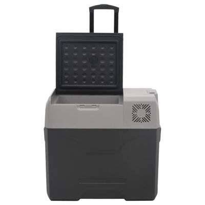 vidaXL Chladiaci box s kolieskom a adaptérom čierno-sivý 50 l PP