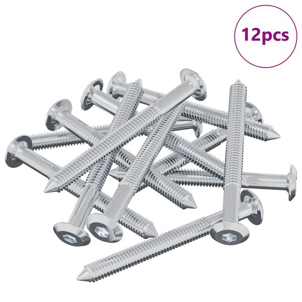 vidaXL Skrutka 12 pcs Strieborn&aacute; M6 x 60 mm Oceľ