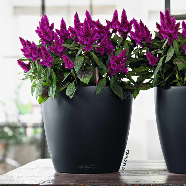 LECHUZA Kvetináč CLASSICO Color 21 ALL-IN-ONE bridlicový