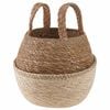 vidaXL Kvetin&aacute;č s uchami Biela &Oslash; 22 x 20 cm 100% Morsk&aacute; tr&aacute;va
