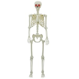 vidaXL Halloweenský Kostiak Biela 155 x 38.5 cm Plast