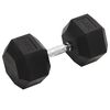 vidaXL Jednoručn&aacute; činka 30 kg liatina