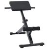 vidaXL Bench na hyperextenziu Čierna 100,5 x 70 x 78 cm