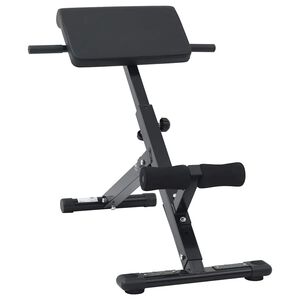 vidaXL Bench na hyperextenziu Čierna 100,5 x 70 x 78 cm