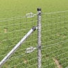 N&aacute;hľadov&yacute; obr&aacute;zok produktu 4 of 11