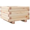 Natural_pine