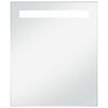 vidaXL K&uacute;peľňov&eacute; n&aacute;stenn&eacute; zrkadlo s LED osvetlen&iacute;m 50x60 cm