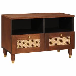 vidaXL TV skrinka Hned&aacute; 70 x 33,5 x 46 cm Mas&iacute;vne mango drevo