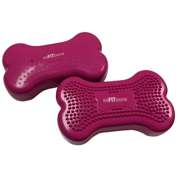 FitPAWS Balančn&aacute; plo&scaron;ina pre psy Mini K9FITbone 2 ks 29x16,5x6 cm